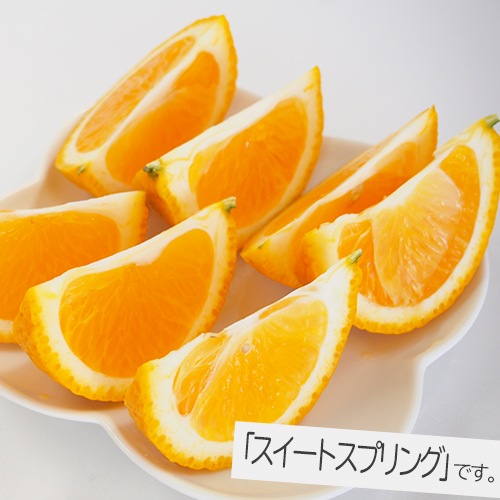 �ڻ���ľ���ۢ�����50Ȣ���Ų���������������Υ���󥸥��åȡ������ʣ���Ϥ�ʬ�ˡ����������ߢ�