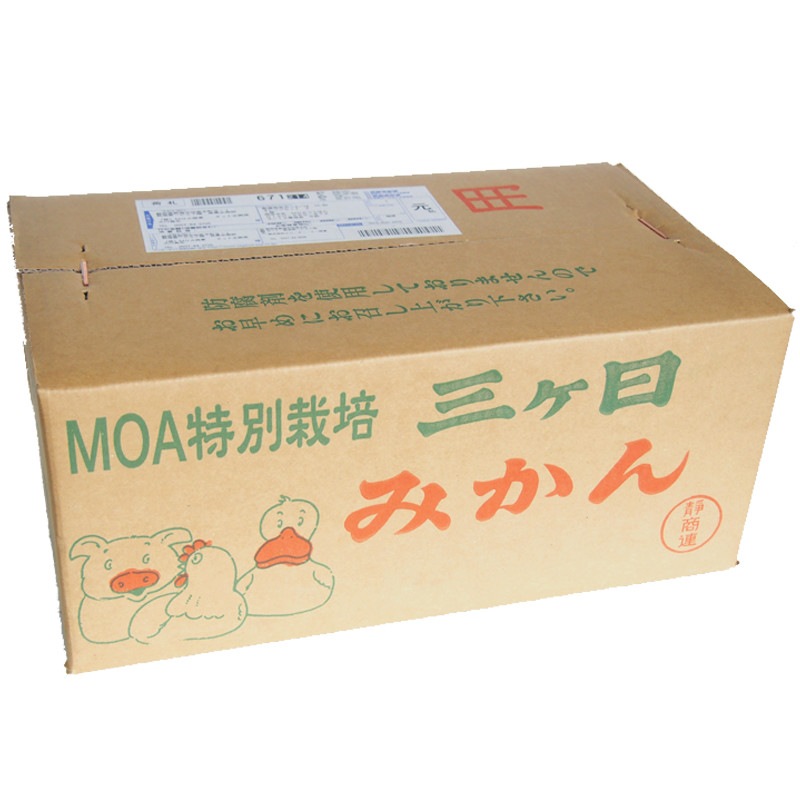 �ڻ���ľ���ۢ�����50Ȣ���Ų���������������Υ���󥸥��åȡ������ʣ���Ϥ�ʬ�ˡ����������ߢ�