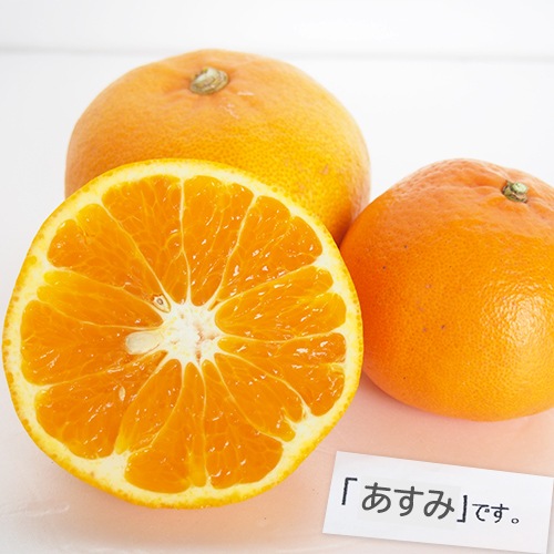 �ڻ���ľ���ۢ�����50Ȣ���Ų���������������Υ���󥸥��åȡ������ʣ���Ϥ�ʬ�ˡ����������ߢ�