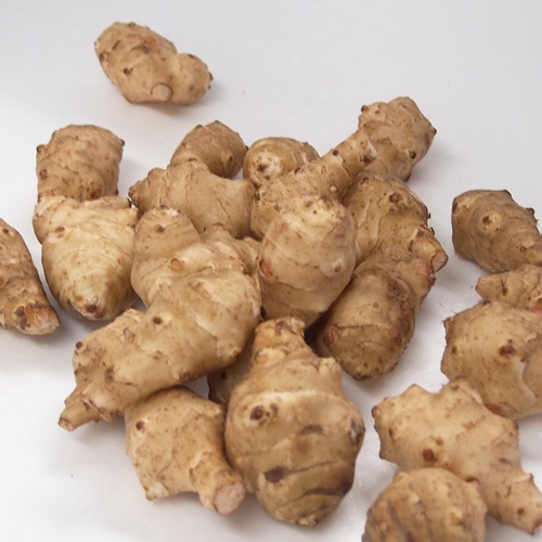 産地直送】秋田県産 菊芋［洗い］ ≪送料込み≫ | 産地直送 | | Green