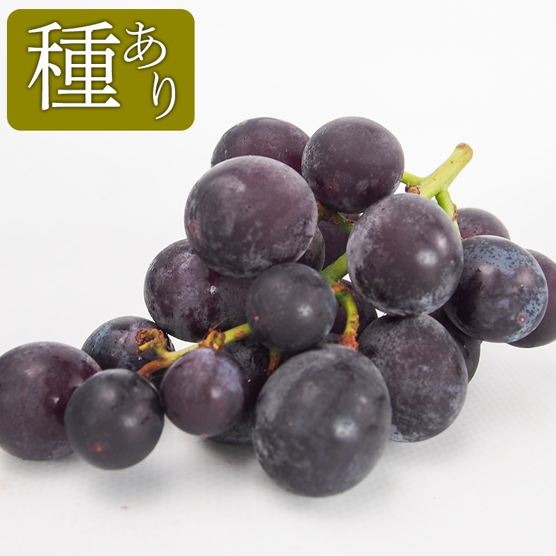 �ڻ���ľ���ۢ�����20Ȣ���ܾ븩�����֤ɤ������ϡ֤������ߡסʼ濫��ˣ���硡���������ߢ�