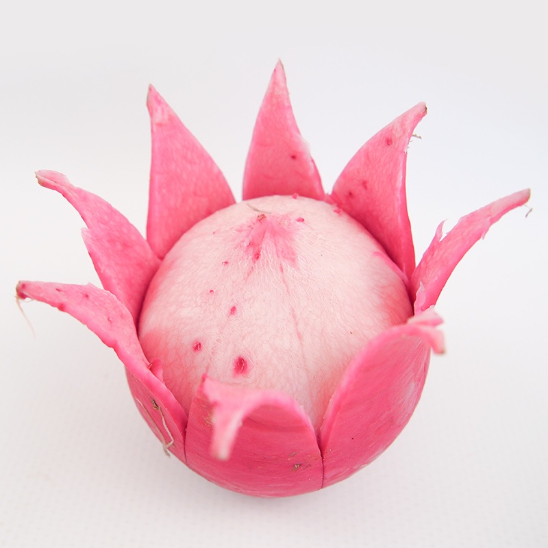 �ڻ���ľ���ۼ����縩�����֤��֡ʤ��Τ����ˣ���硡���������ߢ�