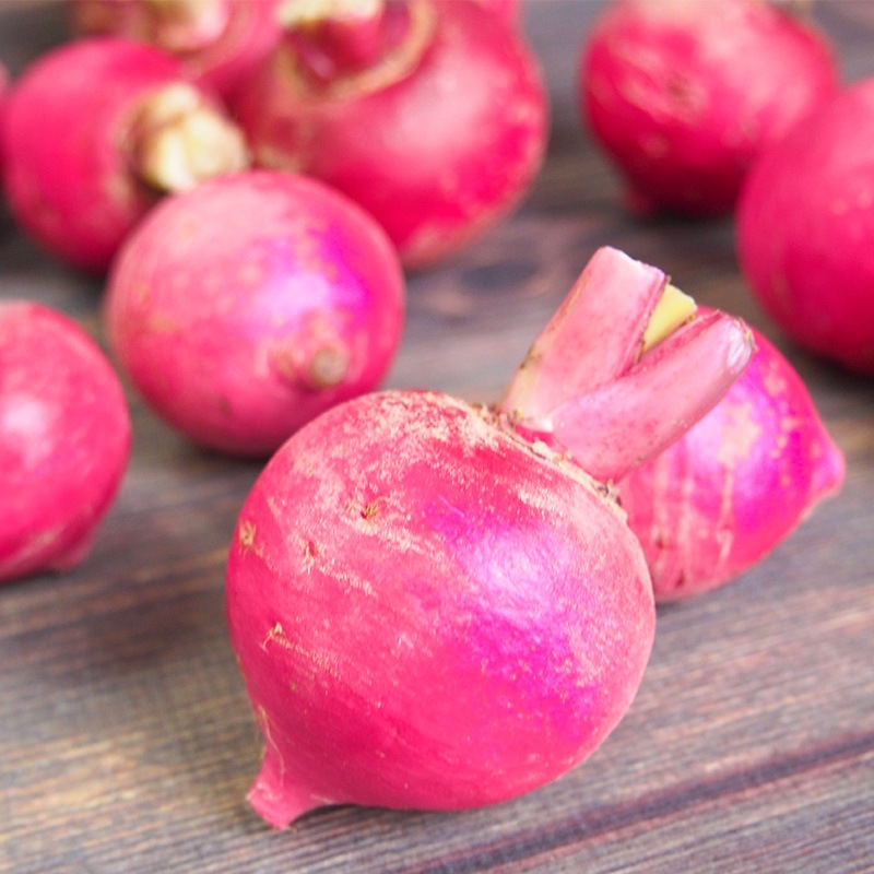 ڻľۼ縩֤֡򤫤֥åȡ硡ߢ