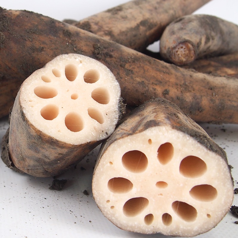 �ڻ���ľ�������ɸ�������󤳤�����դ��ϡ����������ߢ�