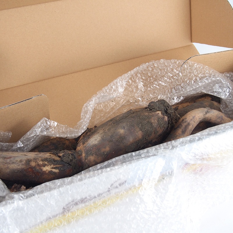 �ڻ���ľ�������ɸ�������󤳤�����դ��ϡ����������ߢ�