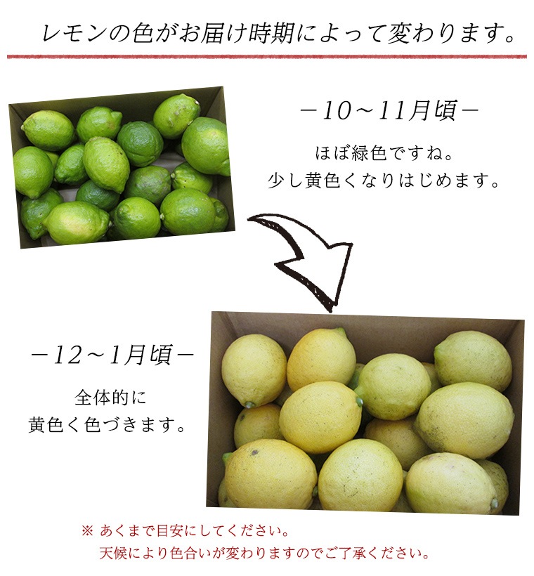 �ڻ���ľ���۹������ͭ�����󡡣�������硡���������ߢ�