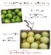 �ڻ���ľ���۹������ͭ�����󡡣�������硡���������ߢ�