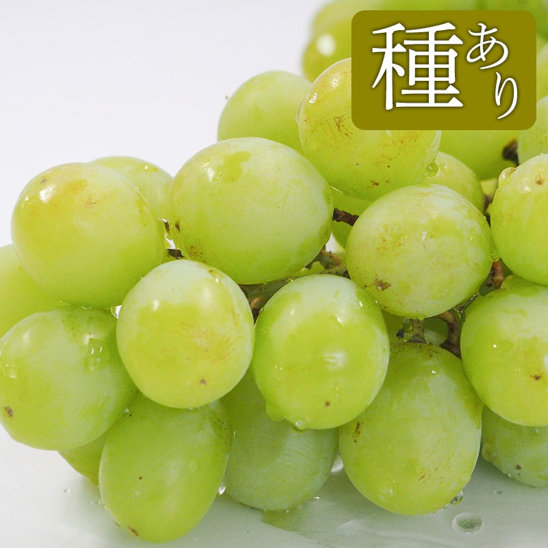 �ڻ���ľ���ۢ�����30Ȣ���ܾ븩����ͭ���֤ɤ������㥤��ޥ����åȡʼ濫��ˣ���硡���������ߢ�