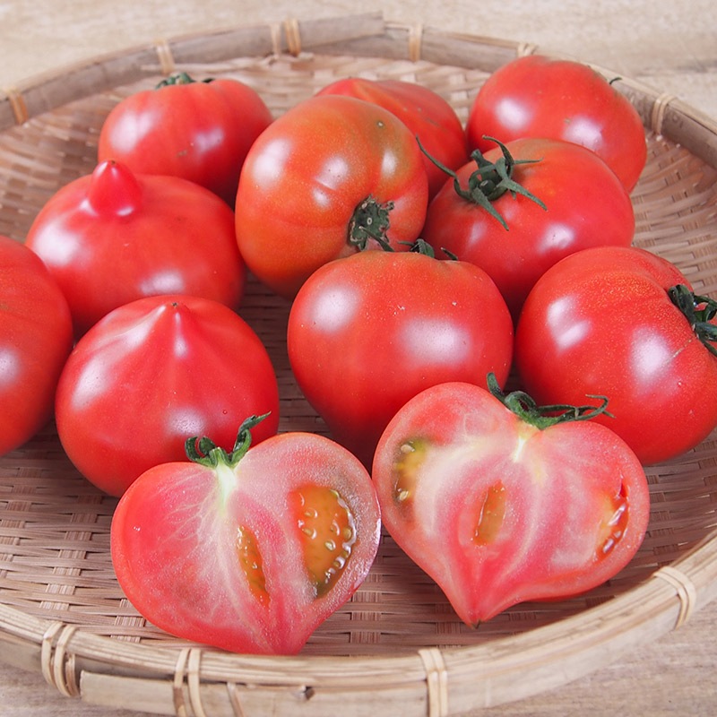 �ڻ���ľ�������ڸ������������Υȥޥȡʥ�ǥ����ե������ȡˡ����������ߢ�