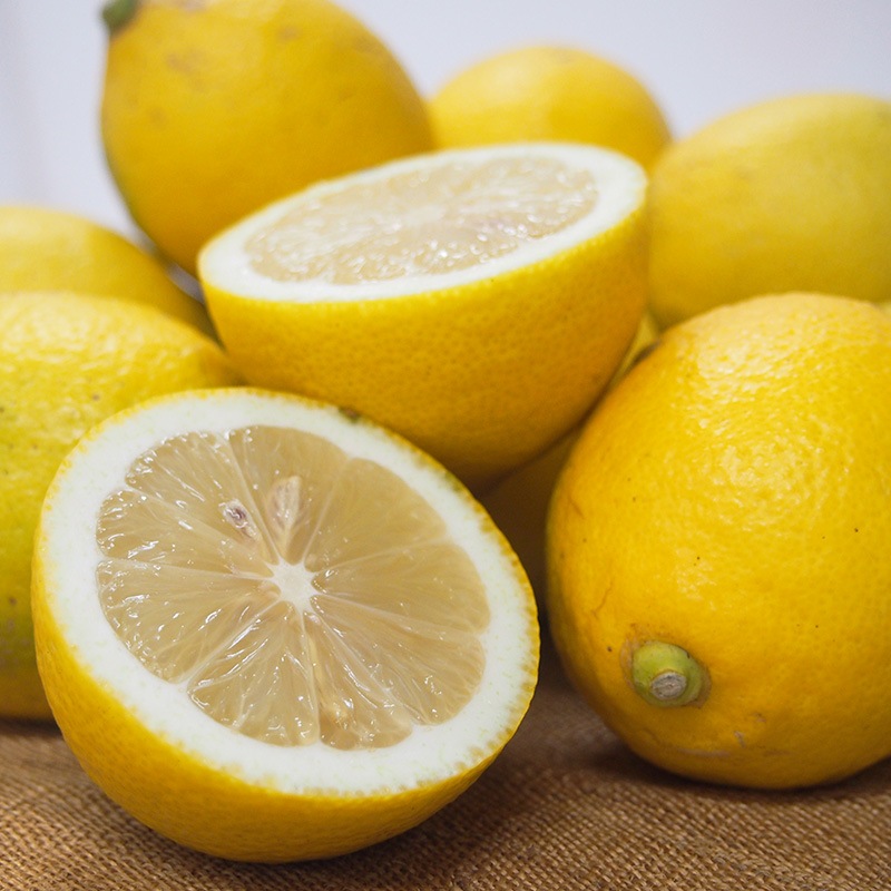 �ڻ���ľ���۰�ɲ���������󡡣�������硡���������ߢ�