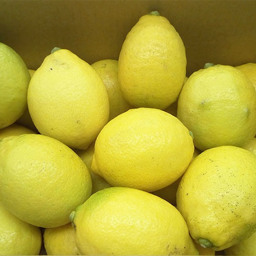 �ڻ���ľ���۰�ɲ���������󡡣�������硡���������ߢ�