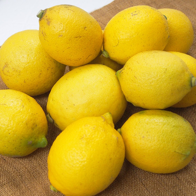 �ڻ���ľ���۰�ɲ���������󡡣�������硡���������ߢ�