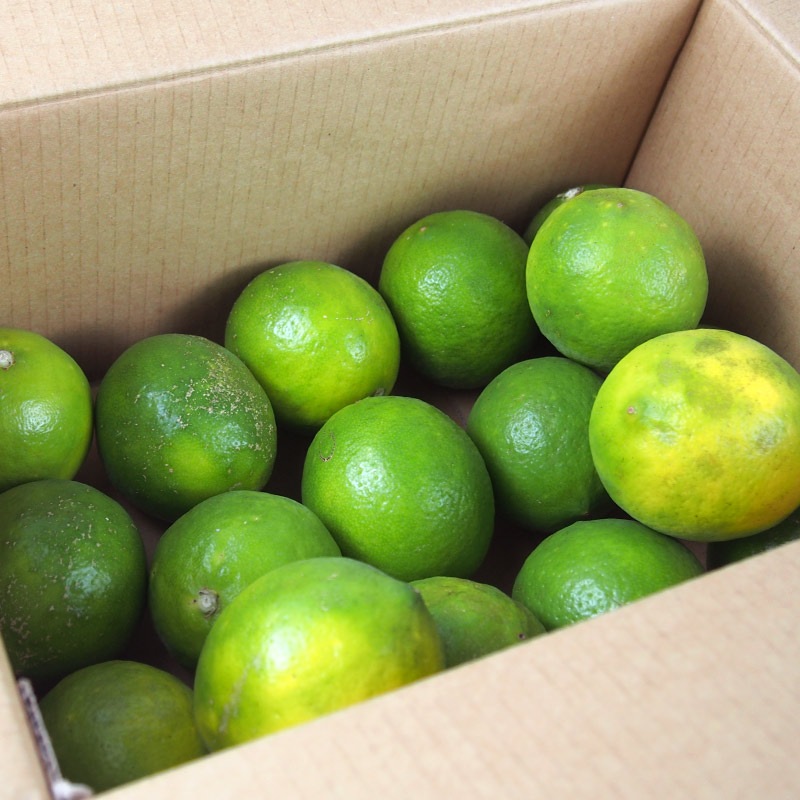 �ڻ���ľ���ۿ���������ޥ��䡼����ʥ���饤��ˣ���硡���������ߢ�