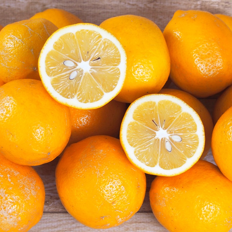 �ڻ���ľ���ۿ���������ޥ��䡼����ʥ���饤��ˣ���硡���������ߢ�