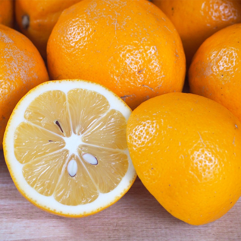 �ڻ���ľ���ۿ���������ޥ��䡼����ʥ���饤��ˣ���硡���������ߢ�