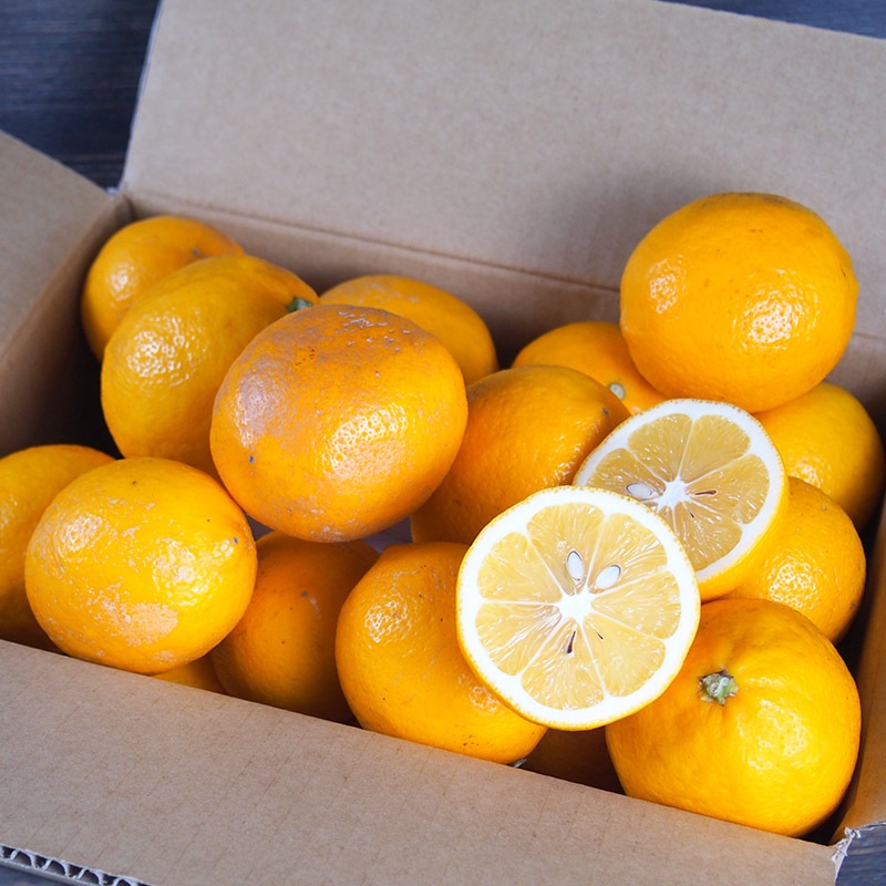 �ڻ���ľ���ۿ���������ޥ��䡼����ʥ���饤��ˣ���硡���������ߢ�