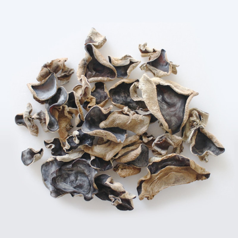 ���������餲���󣱣��硡��12/23�ʲСˡ�12/27���ڡˤޤǤΤ��Ϥ�