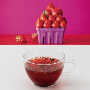 ���ȥ��٥꡼�����ǥ�