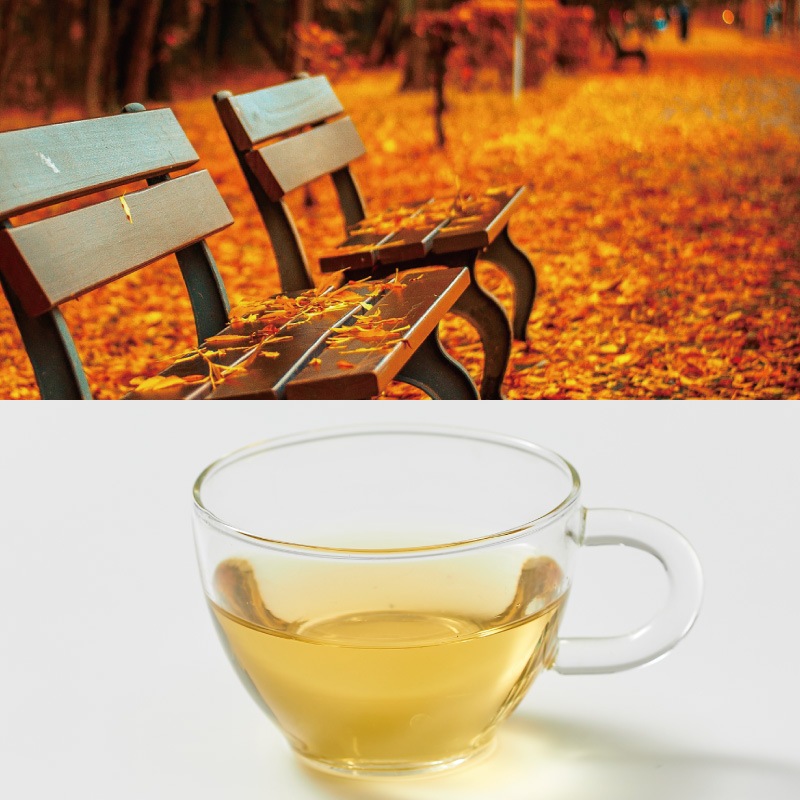 ����ʡ������ɡ��ƥ����ѥå�