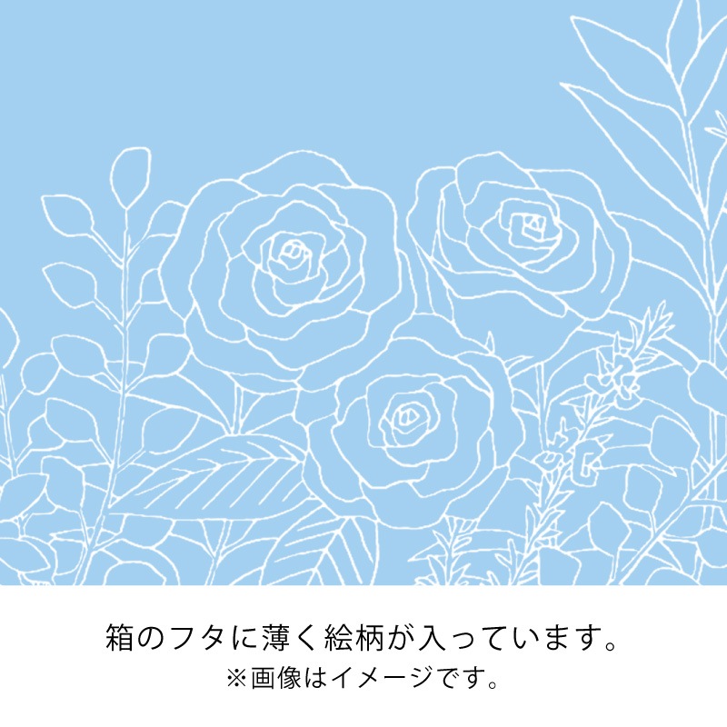 ϡ֥ӥͥ ҡܥϡ֥ƥ̥ե