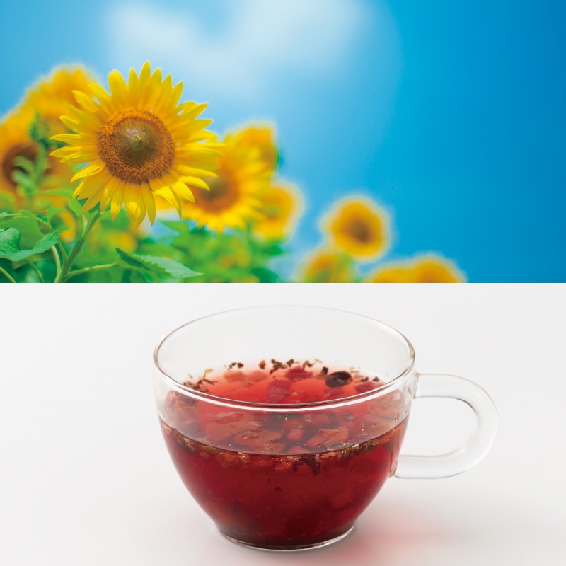 ���ޡ��ۥ�ǡ�