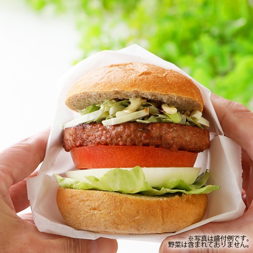 【新商品】Green ヴィーガンバーガーパティ 510g（6枚入り） グリーンカルチャー 大豆ミート 植物肉 業務用 