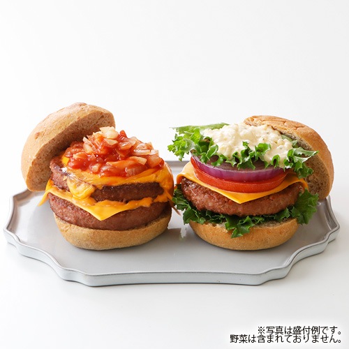 【新商品】Green ヴィーガンバーガーパティ 510g（6枚入り） グリーンカルチャー 大豆ミート 植物肉 業務用 