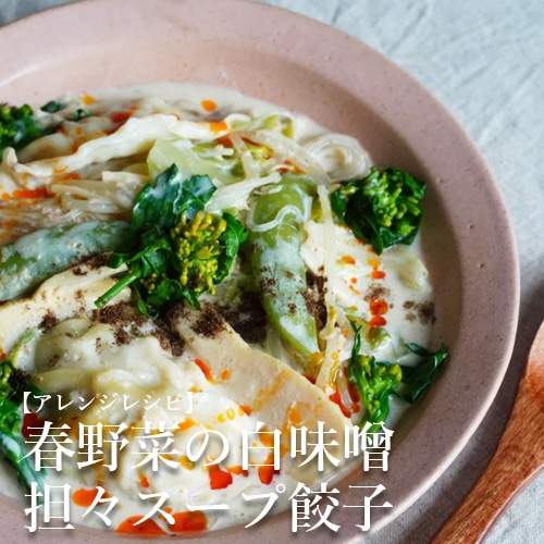 東京ヴィーガン餃子 30個入り