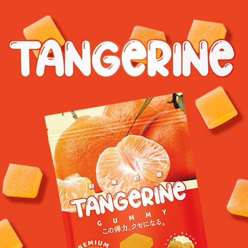 4月20日入荷！フルーツグミ 食べ比べ 4個セット ミカン パイナップル マンゴー ライチ (8個入り×4袋) ヴィーガン ゼラチン不使用 ぐみ グミ 