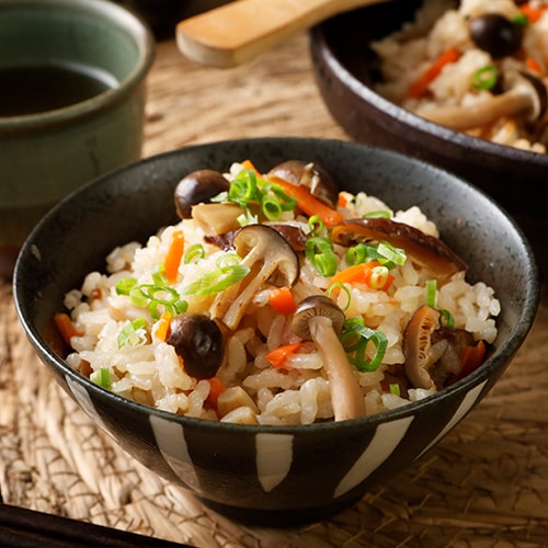 菜食 和風だしの素（1kg）【業務用】ヴィーガン和風だし 動物性原料不使用 ベジタリアン