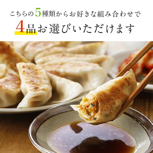 ヴィーガン餃子専門店のお試しセット 人気商品食べ比べ 4種 グリーンカルチャー 【本州・四国送料無料】