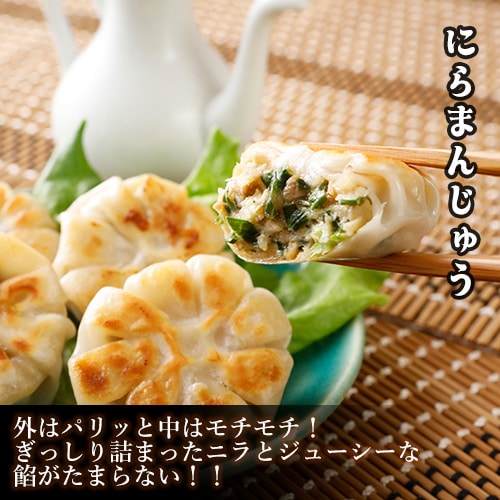 【店長のおすすめ！5%OFF】ヴィーガン餃子専門店のお試しセット 人気商品食べ比べ 4種 本州・四国送料無料 夏ギフトラッピング対応商品