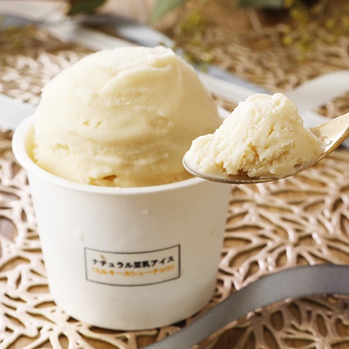 【9月～5月限定商品】ナチュラル豆乳アイス ミルキーカシューナッツ 120ml