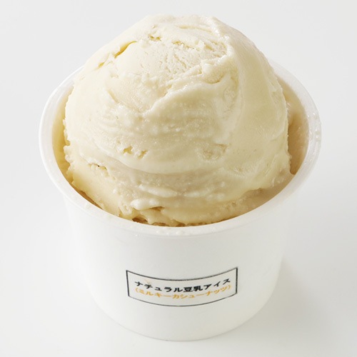 【9月～5月限定商品】ナチュラル豆乳アイス ミルキーカシューナッツ 120ml