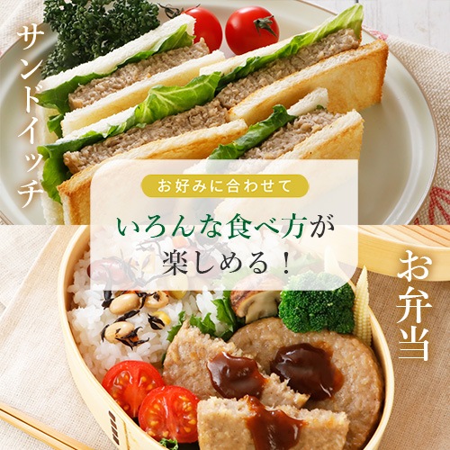 Green ヴィーガンハンバーグ（60g×10枚）グリーンカルチャー 業務用 ヴィーガン ベジタリアン