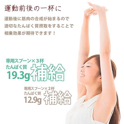 Greenプロテインドリンク（抹茶ラテ味）3袋セット 500g×3袋 送料無料 動物性原料不使用 ヴィーガン グルテンフリー