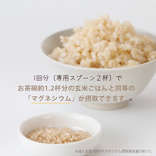 Greenプロテインドリンク（抹茶ラテ味）3袋セット 500g×3袋 送料無料 動物性原料不使用 ヴィーガン グルテンフリー