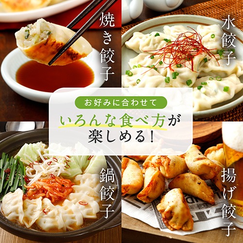 Green 餃子【40個】大豆ミートと国産野菜で作ったヴィーガン冷凍餃子 《Greenシリーズ》業務用