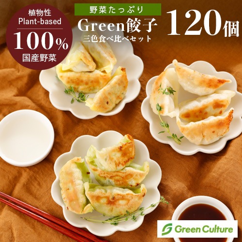 Green 餃子食べ比べ 三色 ヘルシー 菜食 野菜餃子 国産野菜 業務用 【食べ比べ 120個セット】プラントベース 大豆ミート 大豆肉 植物肉 ヴィーガン ベジタリアン【本州送料無料】 夏ギフトラッピング対応商品