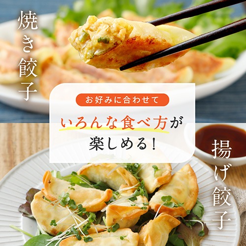 送料無料！Green 餃子食べ比べ 三色 ヘルシー 菜食 野菜餃子 国産野菜 業務用 【食べ比べ 120個セット】プラントベース 大豆ミート 大豆肉 植物肉 ヴィーガン ベジタリアン【本州送料無料】