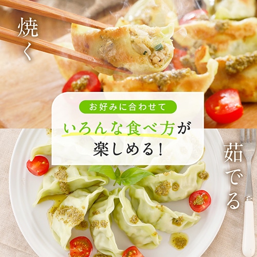 送料無料！Green 餃子食べ比べ 三色 ヘルシー 菜食 野菜餃子 国産野菜 業務用 【食べ比べ 120個セット】プラントベース 大豆ミート 大豆肉 植物肉 ヴィーガン ベジタリアン【本州送料無料】