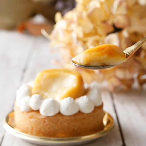 【GreenCulture限定】ヴィーガン プリンタルト《4個セット》 7cm 松竹圓 ヴィーガン グルテンフリー 乳卵不使用