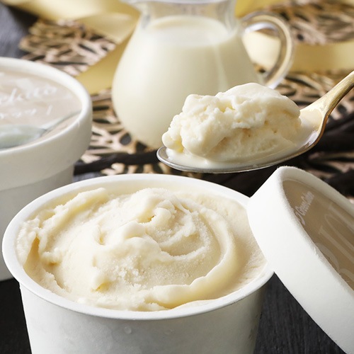 果実と米粉のヴィーガンジェラート バニラココナッツ 100ml ヴィーガン ビーガン ベジタリアン スイーツ アイス グルテンフリー