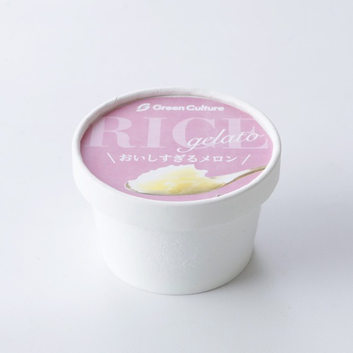 【新商品】果実と米粉のヴィーガンジェラート おいしすぎるメロン 72ml ヴィーガン ビーガン ベジタリアン スイーツ アイス グルテンフリー