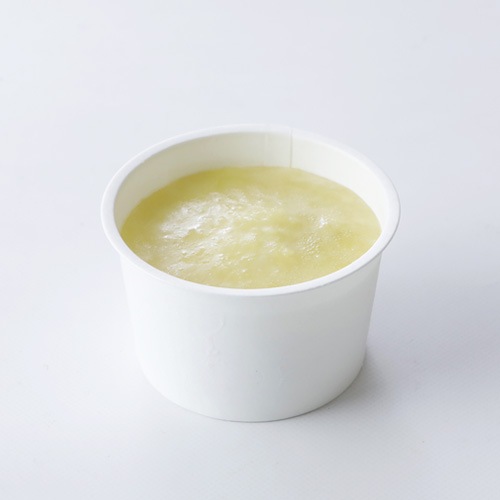 【新商品】果実と米粉のヴィーガンジェラート おいしすぎるメロン 72ml ヴィーガン ビーガン ベジタリアン スイーツ アイス グルテンフリー