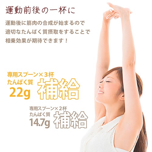 Greenプロテインスープ（コーンポタージュ味）3袋セット 500g×3袋 送料無料 動物性原料不使用 ヴィーガン グルテンフリー ノンカフェイン