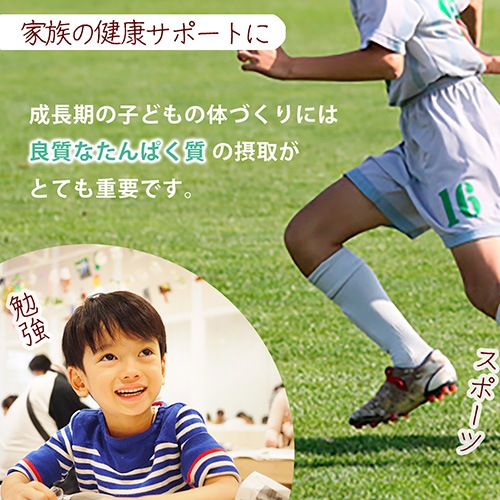 Greenプロテインスープ（コーンポタージュ味）3袋セット 500g×3袋 送料無料 動物性原料不使用 ヴィーガン グルテンフリー ノンカフェイン