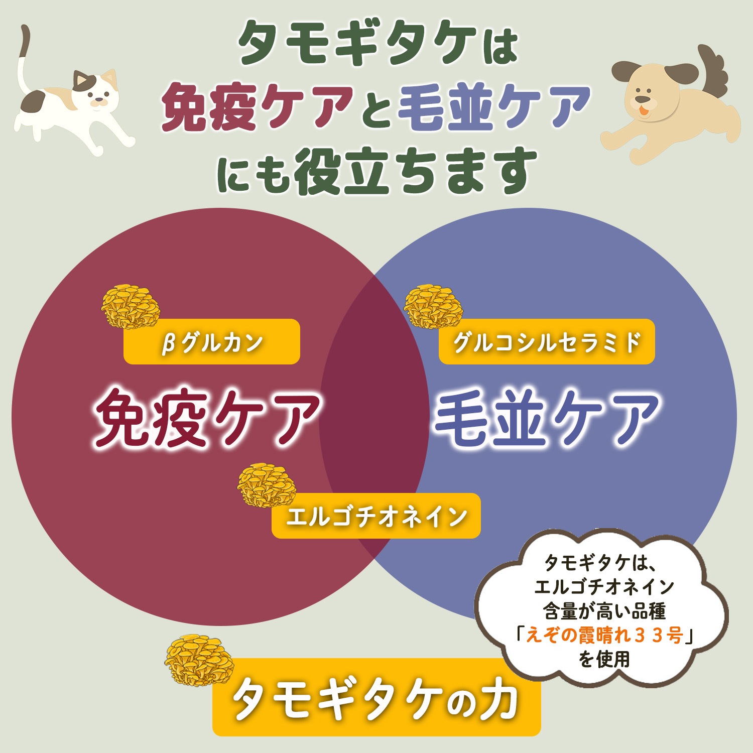 イナンクル 犬猫用 ペット サプリ サプリメント 口臭ケア 便臭対策 免疫ケア 毛並みケア 16包入り（４週間分） 4点セット