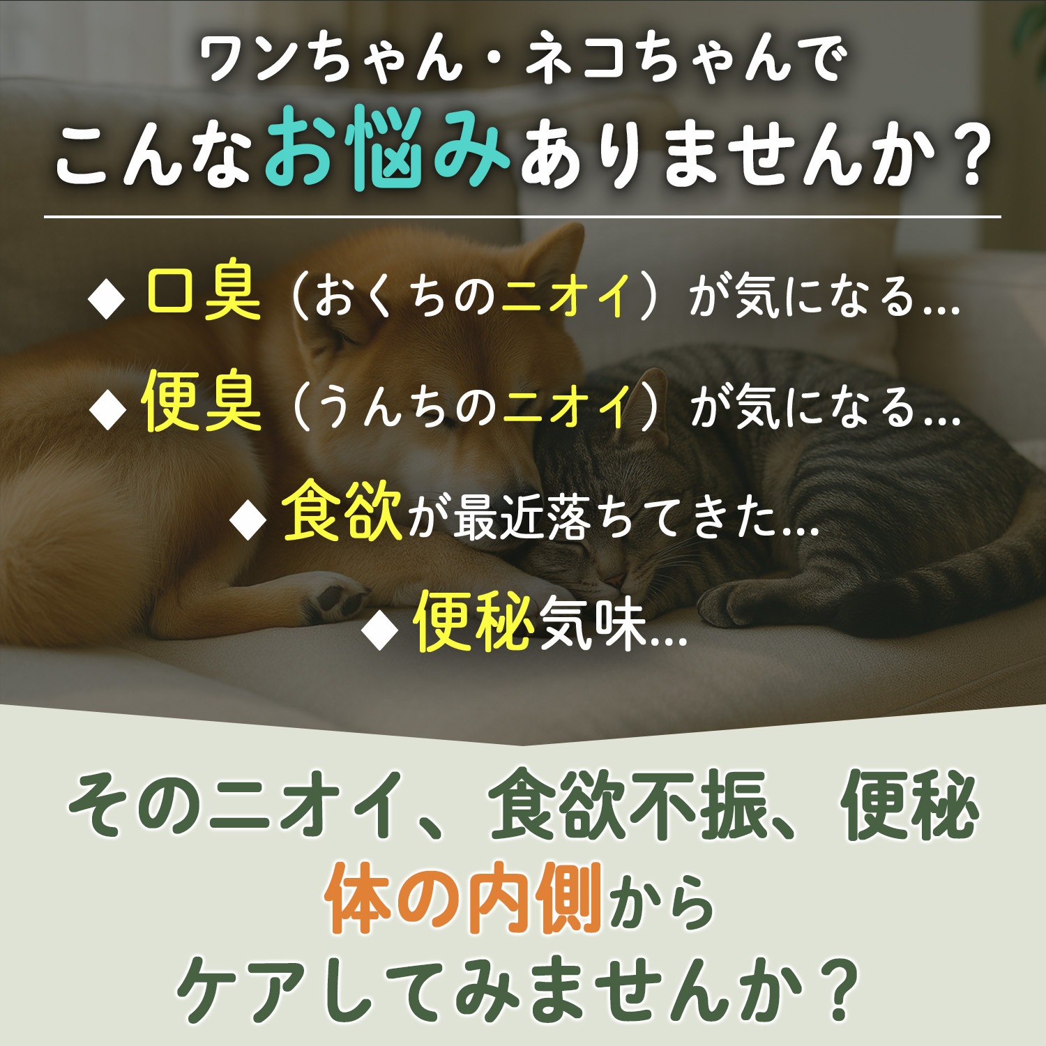 お試しパック（会員様一回1点限り無料）