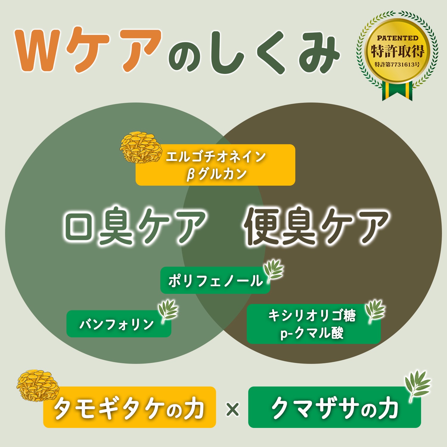 お試しパック（会員様一回1点限り無料）